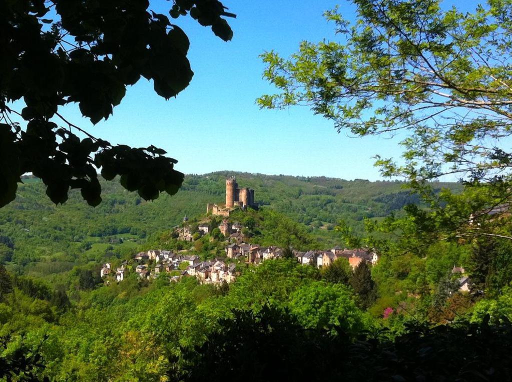 Chambre D Hotes Avec 2 Petits Dejeuners Ou Gite Najac Exterior photo
